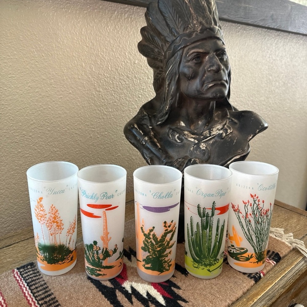 Blakely Oil & Gas Arizona Cactus Frosted Glasses Highball Barware